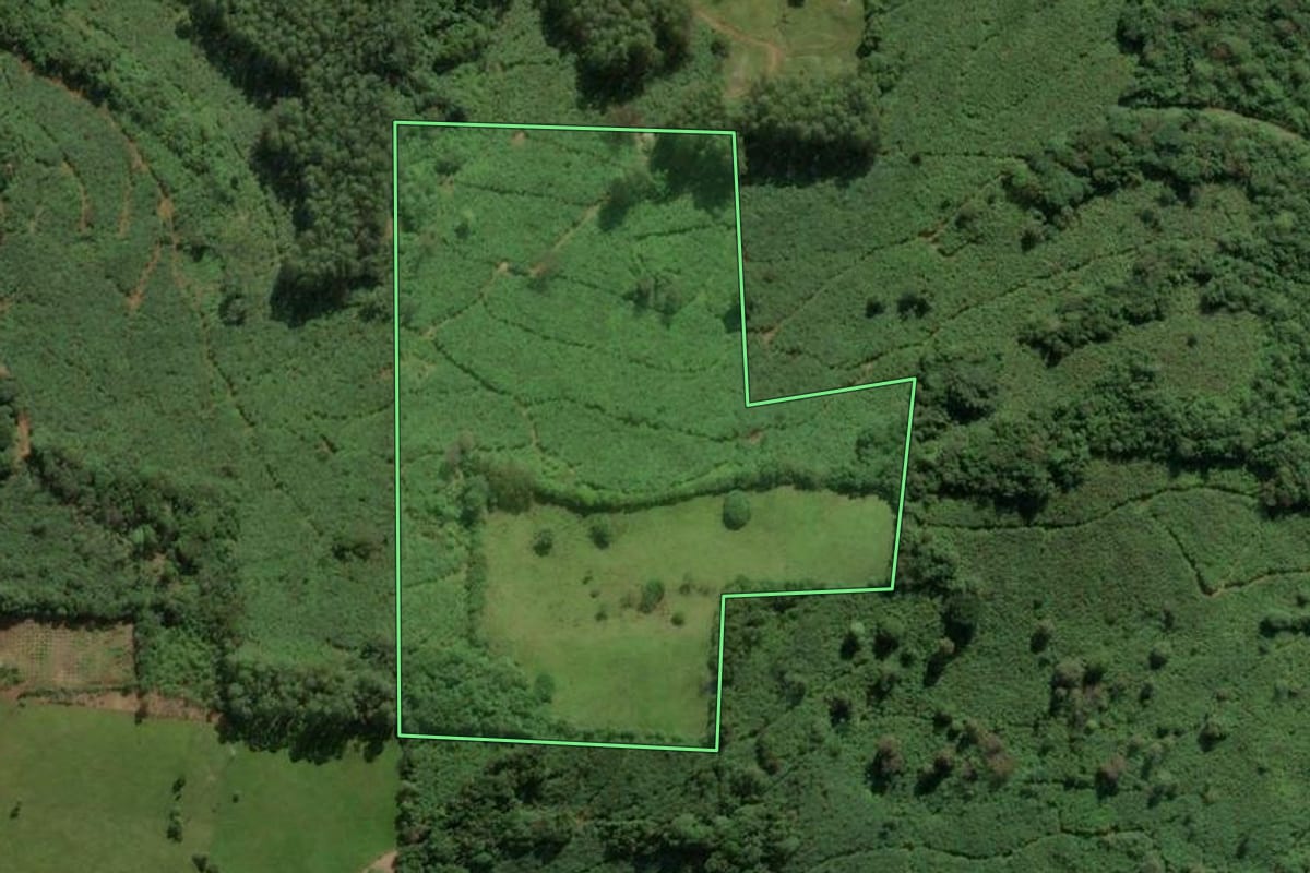 Imagem de satélite do imóvel rural em Mampituba (RS), com o contorno declarado no CAR desenhado por cima.
