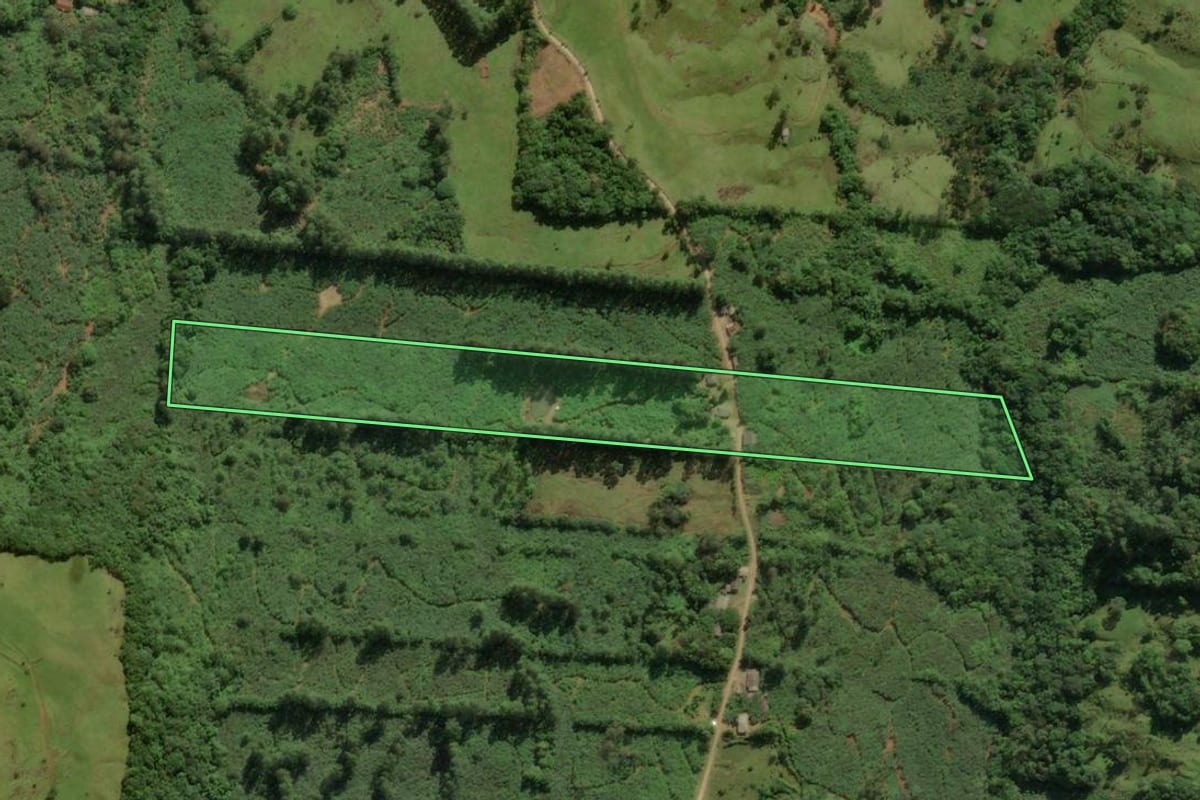 Imagem de satélite do imóvel rural em Mampituba (RS), com o contorno declarado no CAR desenhado por cima.