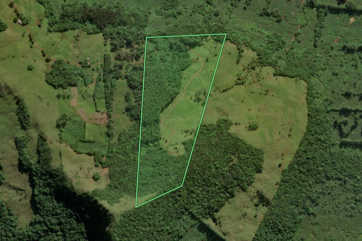 Imagem de satélite do imóvel rural em Mampituba (RS), com o contorno declarado no CAR desenhado por cima.