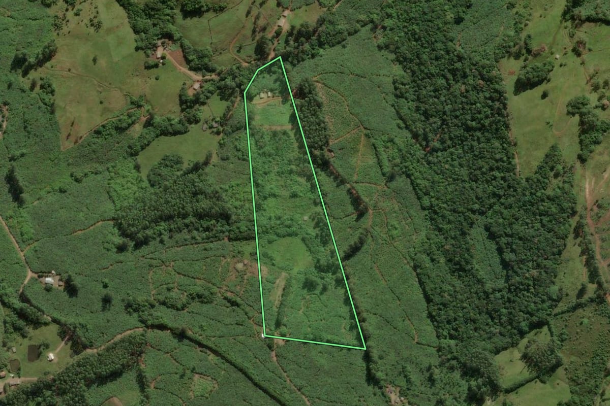 Imagem de satélite do imóvel rural em Mampituba (RS), com o contorno declarado no CAR desenhado por cima.