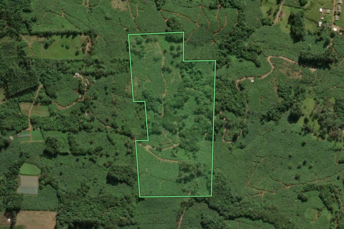 Imagem de satélite do imóvel rural em Mampituba (RS), com o contorno declarado no CAR desenhado por cima.