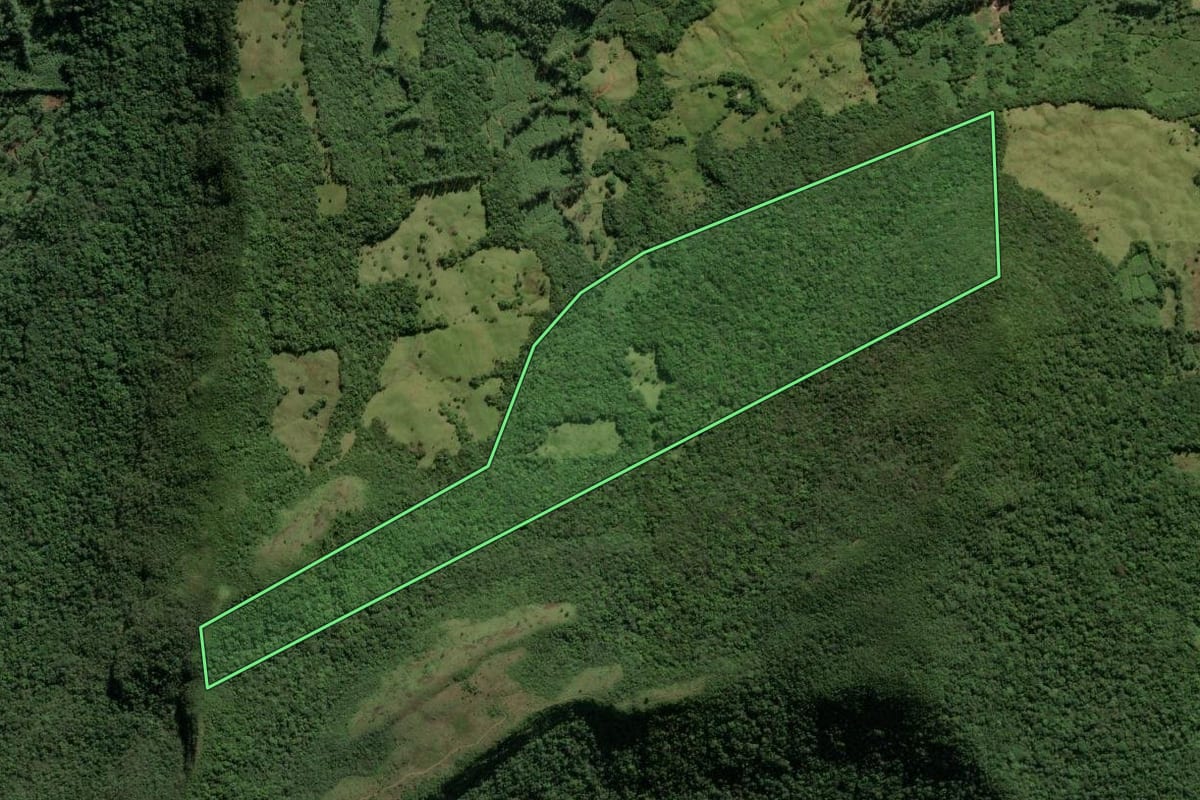 Imagem de satélite do imóvel rural em Mampituba (RS), com o contorno declarado no CAR desenhado por cima.