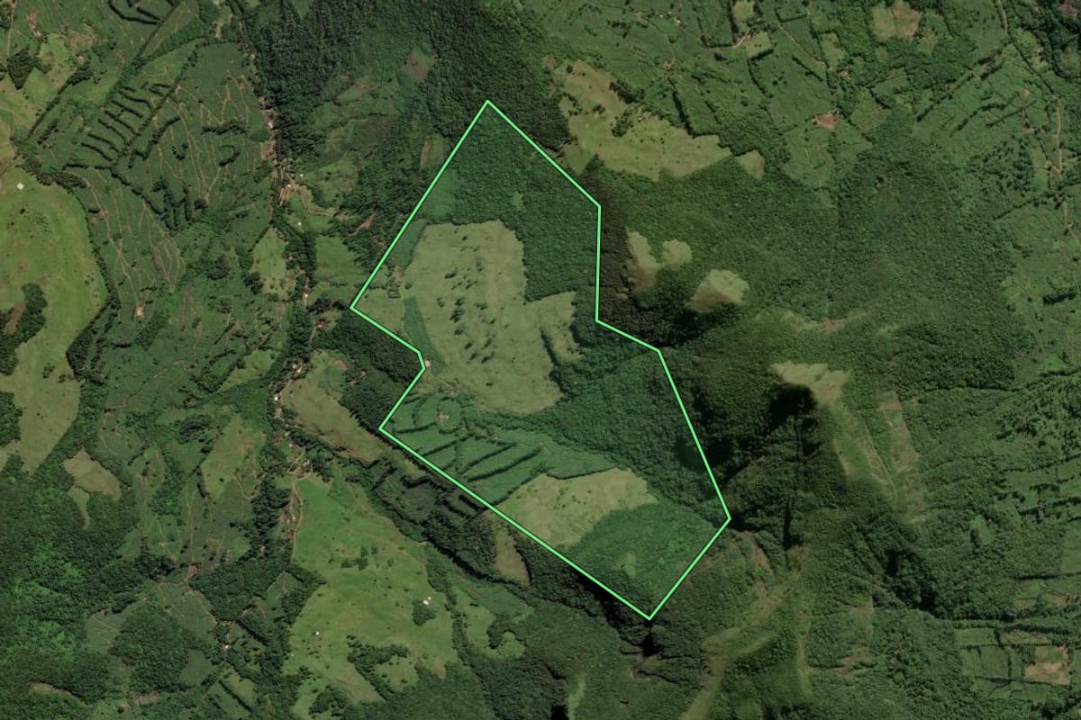 Imagem de satélite do imóvel rural em Mampituba (RS), com o contorno declarado no CAR desenhado por cima.