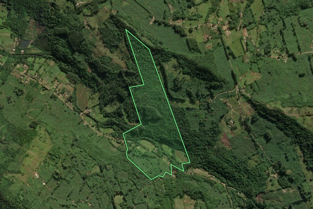 Imagem de satélite do imóvel rural em Mampituba (RS), com o contorno declarado no CAR desenhado por cima.