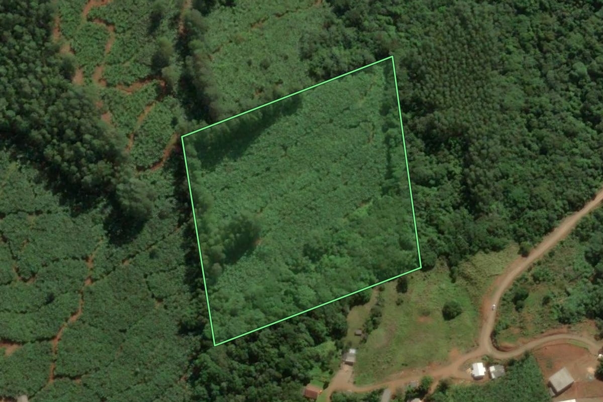 Imagem de satélite do imóvel rural em Mampituba (RS), com o contorno declarado no CAR desenhado por cima.