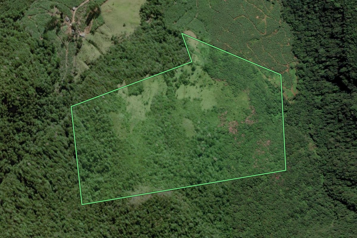Imagem de satélite do imóvel rural em Mampituba (RS), com o contorno declarado no CAR desenhado por cima.