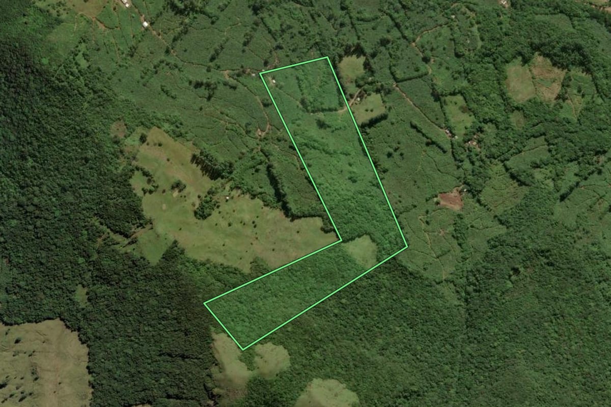 Imagem de satélite do imóvel rural em Mampituba (RS), com o contorno declarado no CAR desenhado por cima.