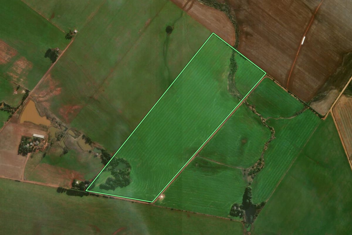 Imagem de satélite do imóvel rural em Manoel Viana (RS), com o contorno declarado no CAR desenhado por cima.