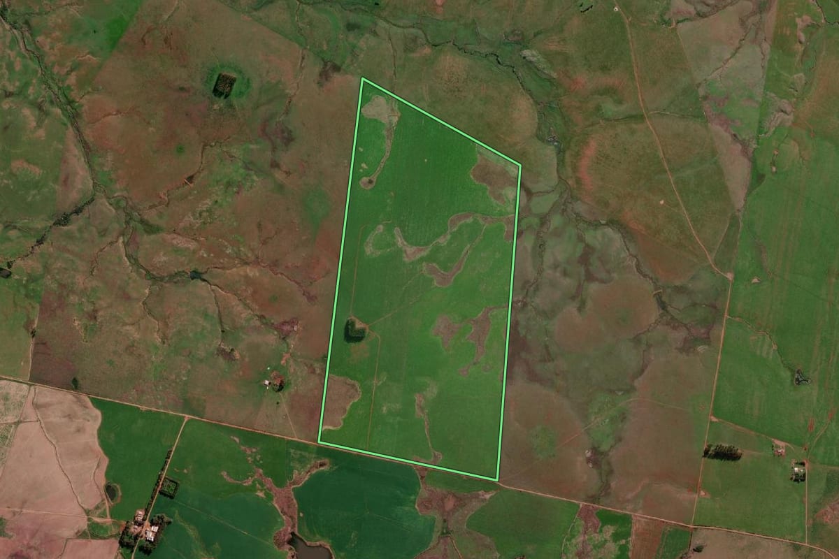 Imagem de satélite do imóvel rural em Manoel Viana (RS), com o contorno declarado no CAR desenhado por cima.