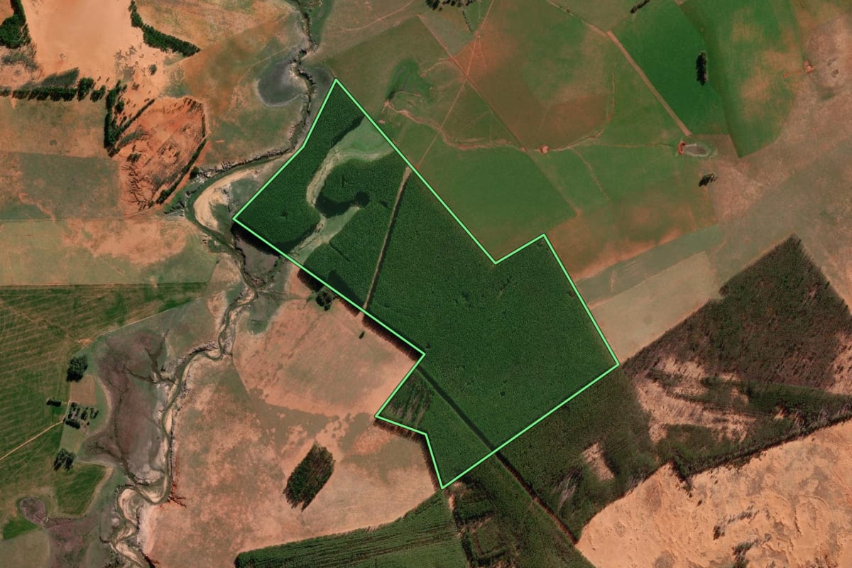 Imagem de satélite do imóvel rural em Manoel Viana (RS), com o contorno declarado no CAR desenhado por cima.