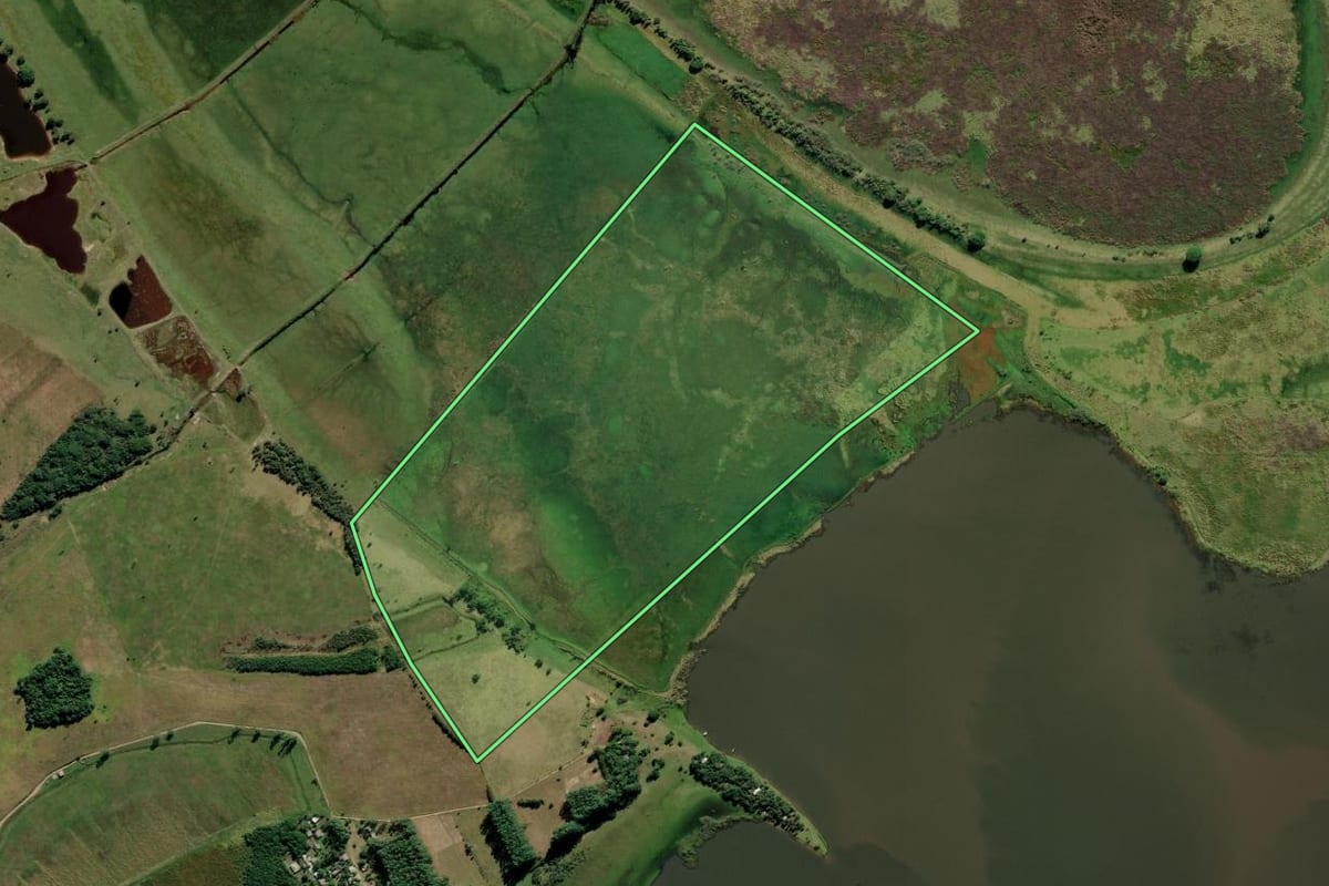 Imagem de satélite do imóvel rural em Maquiné (RS), com o contorno declarado no CAR desenhado por cima.
