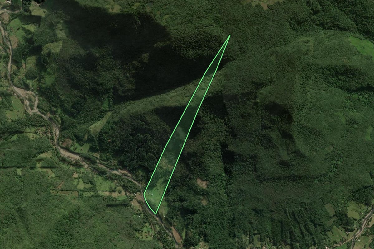Imagem de satélite do imóvel rural em Maquiné (RS), com o contorno declarado no CAR desenhado por cima.
