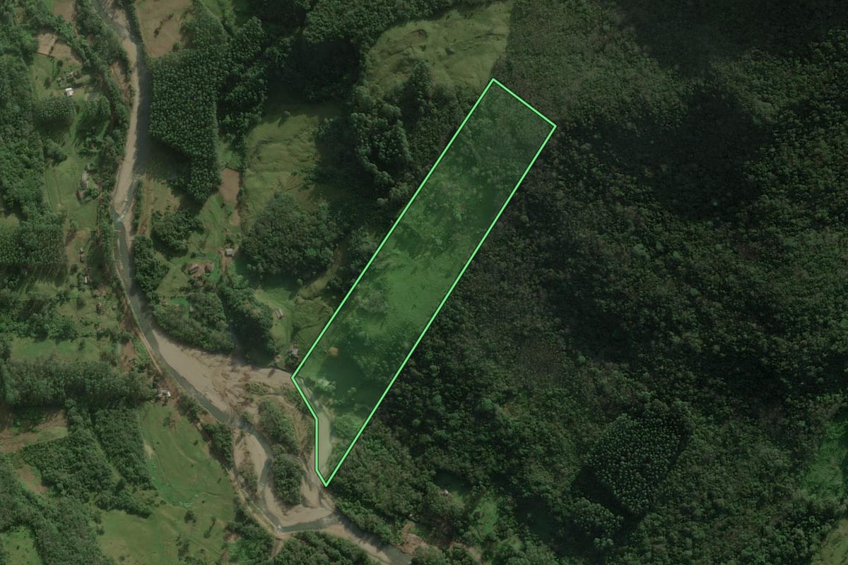 Imagem de satélite do imóvel rural em Maquiné (RS), com o contorno declarado no CAR desenhado por cima.