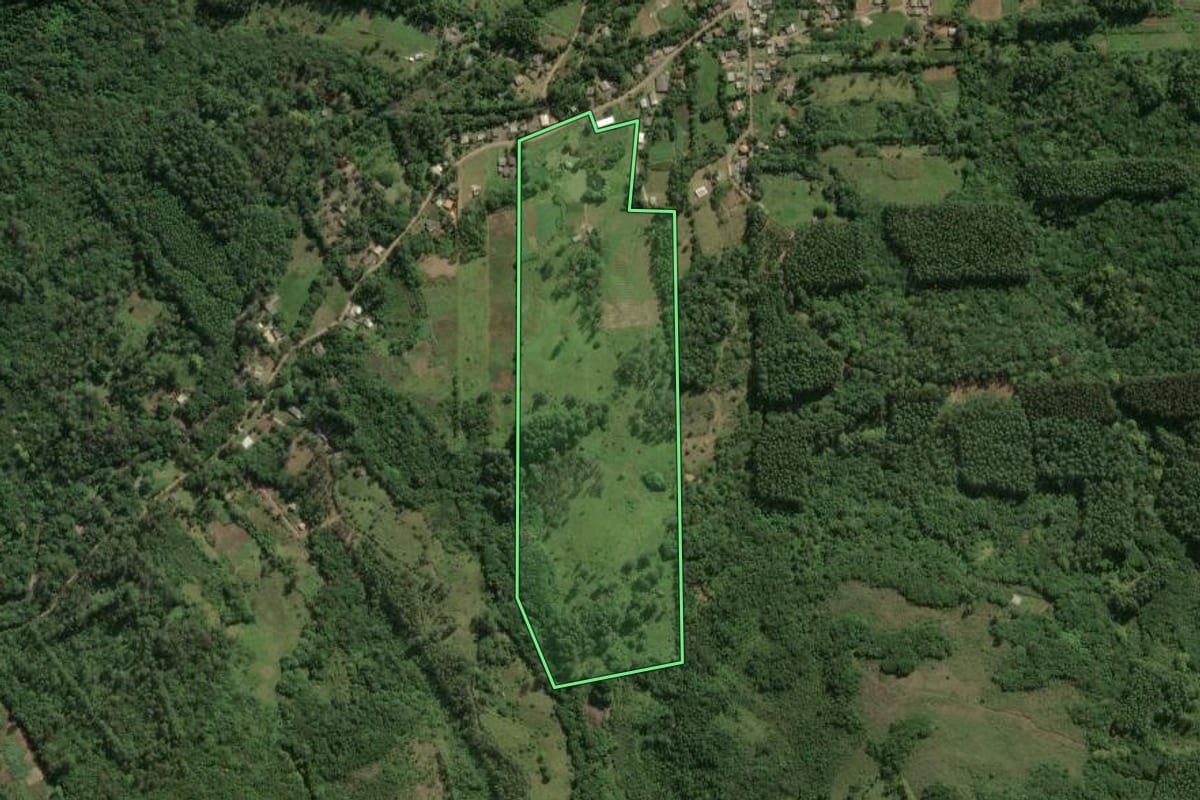 Imagem de satélite do imóvel rural em Maquiné (RS), com o contorno declarado no CAR desenhado por cima.