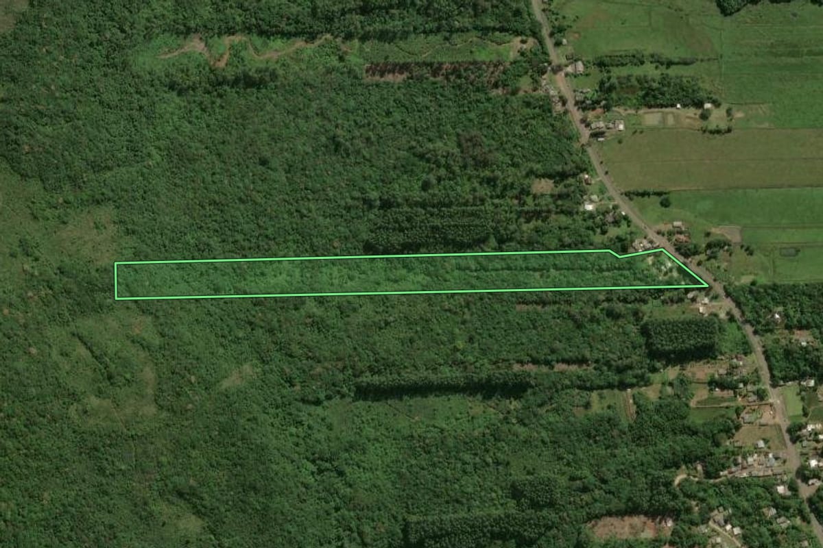 Imagem de satélite do imóvel rural em Maquiné (RS), com o contorno declarado no CAR desenhado por cima.