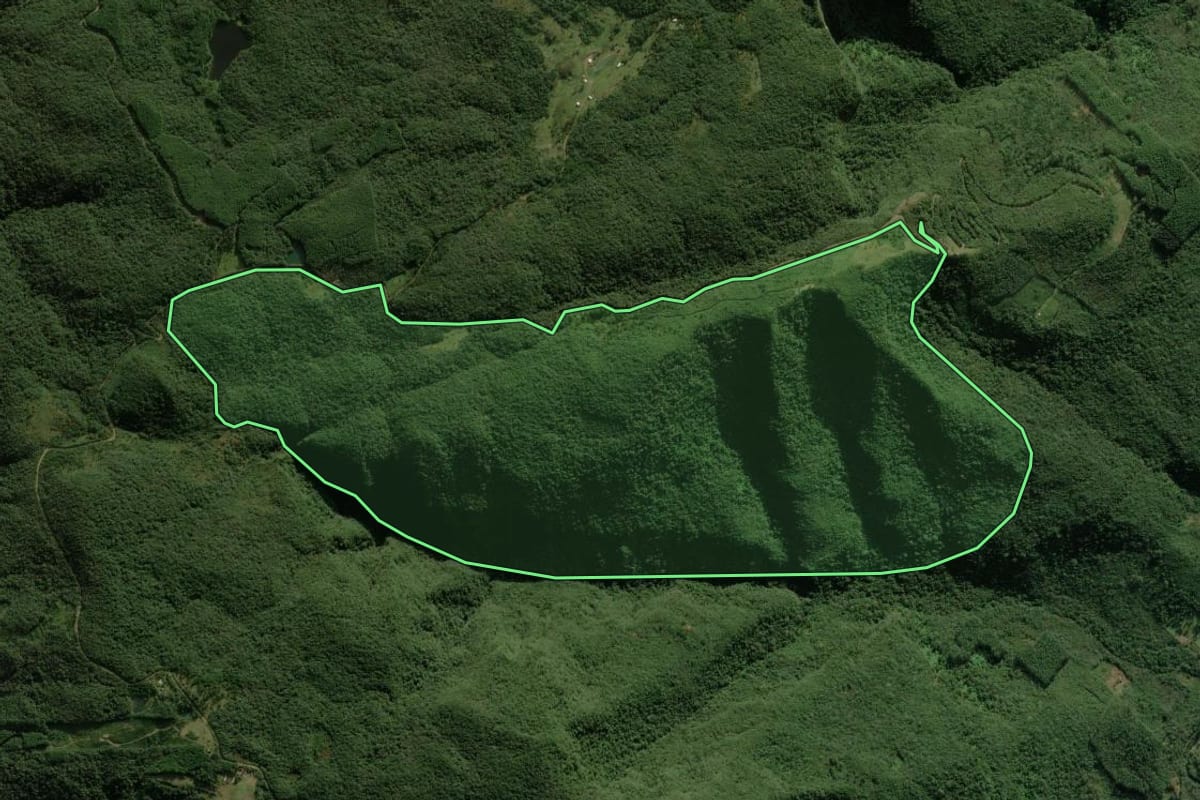 Imagem de satélite do imóvel rural em Maquiné (RS), com o contorno declarado no CAR desenhado por cima.