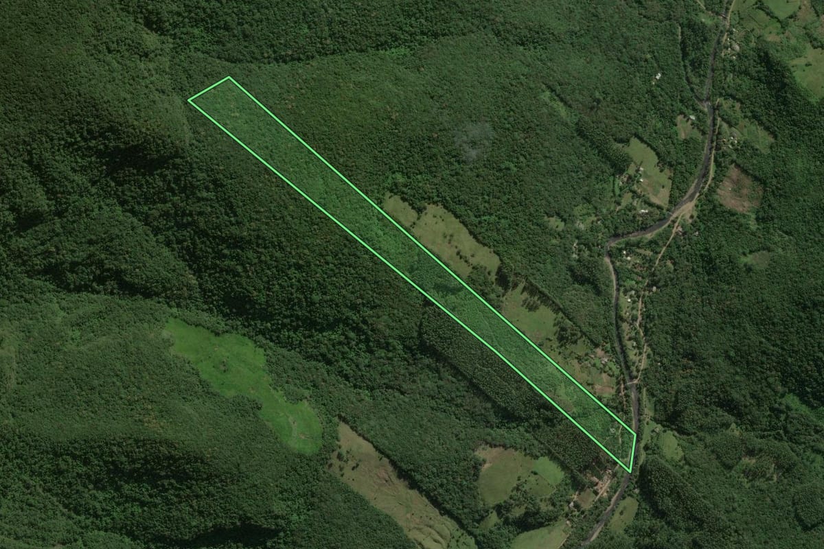 Imagem de satélite do imóvel rural em Maquiné (RS), com o contorno declarado no CAR desenhado por cima.