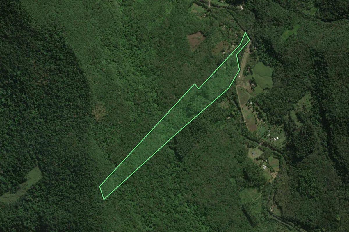 Imagem de satélite do imóvel rural em Maquiné (RS), com o contorno declarado no CAR desenhado por cima.