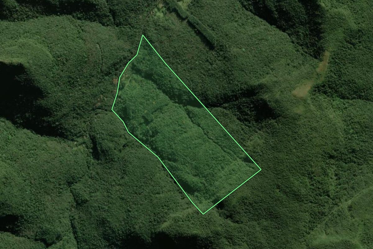 Imagem de satélite do imóvel rural em Maquiné (RS), com o contorno declarado no CAR desenhado por cima.