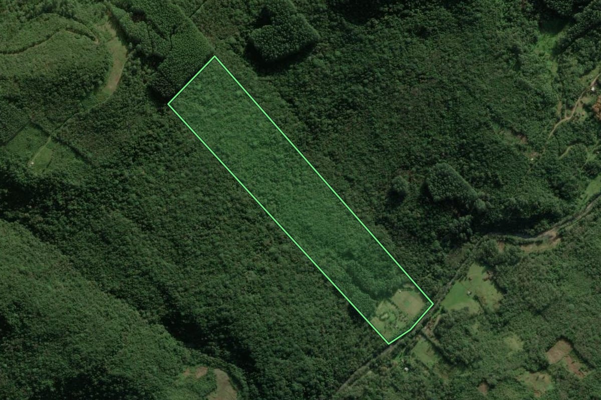 Imagem de satélite do imóvel rural em Maquiné (RS), com o contorno declarado no CAR desenhado por cima.