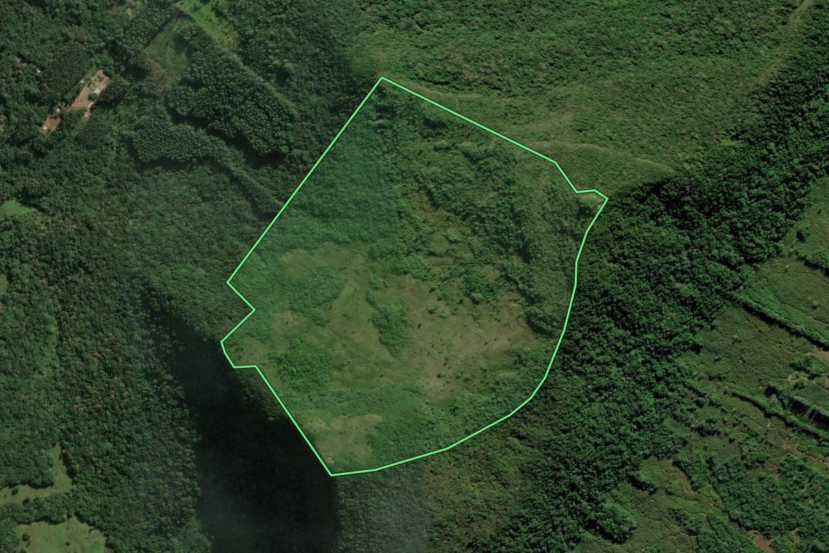 Imagem de satélite do imóvel rural em Maquiné (RS), com o contorno declarado no CAR desenhado por cima.