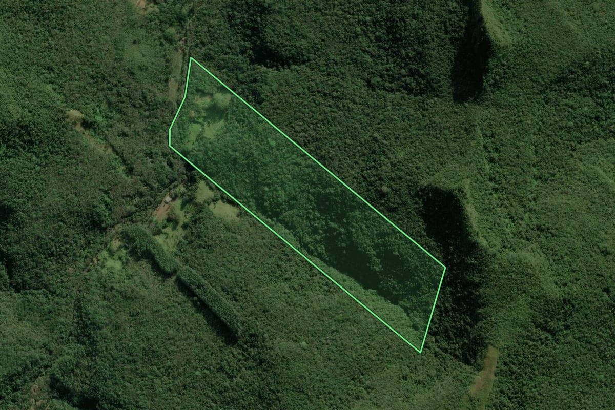 Imagem de satélite do imóvel rural em Maquiné (RS), com o contorno declarado no CAR desenhado por cima.