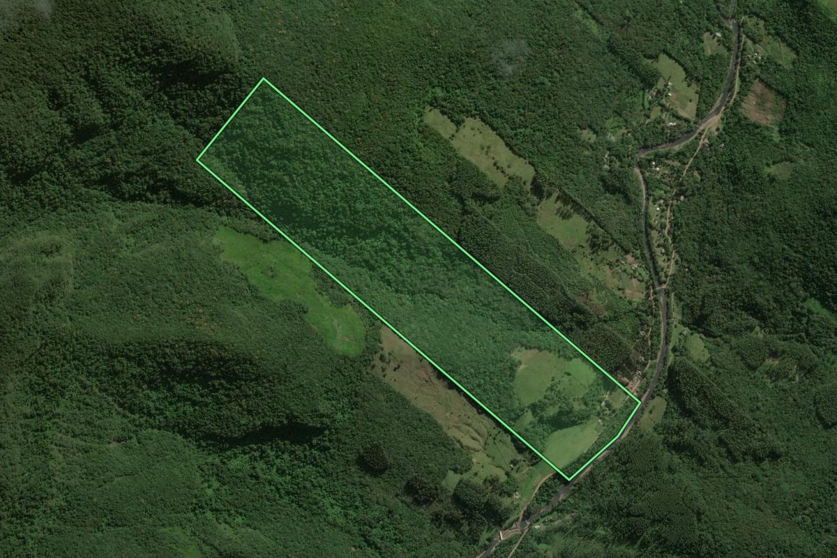 Imagem de satélite do imóvel rural em Maquiné (RS), com o contorno declarado no CAR desenhado por cima.