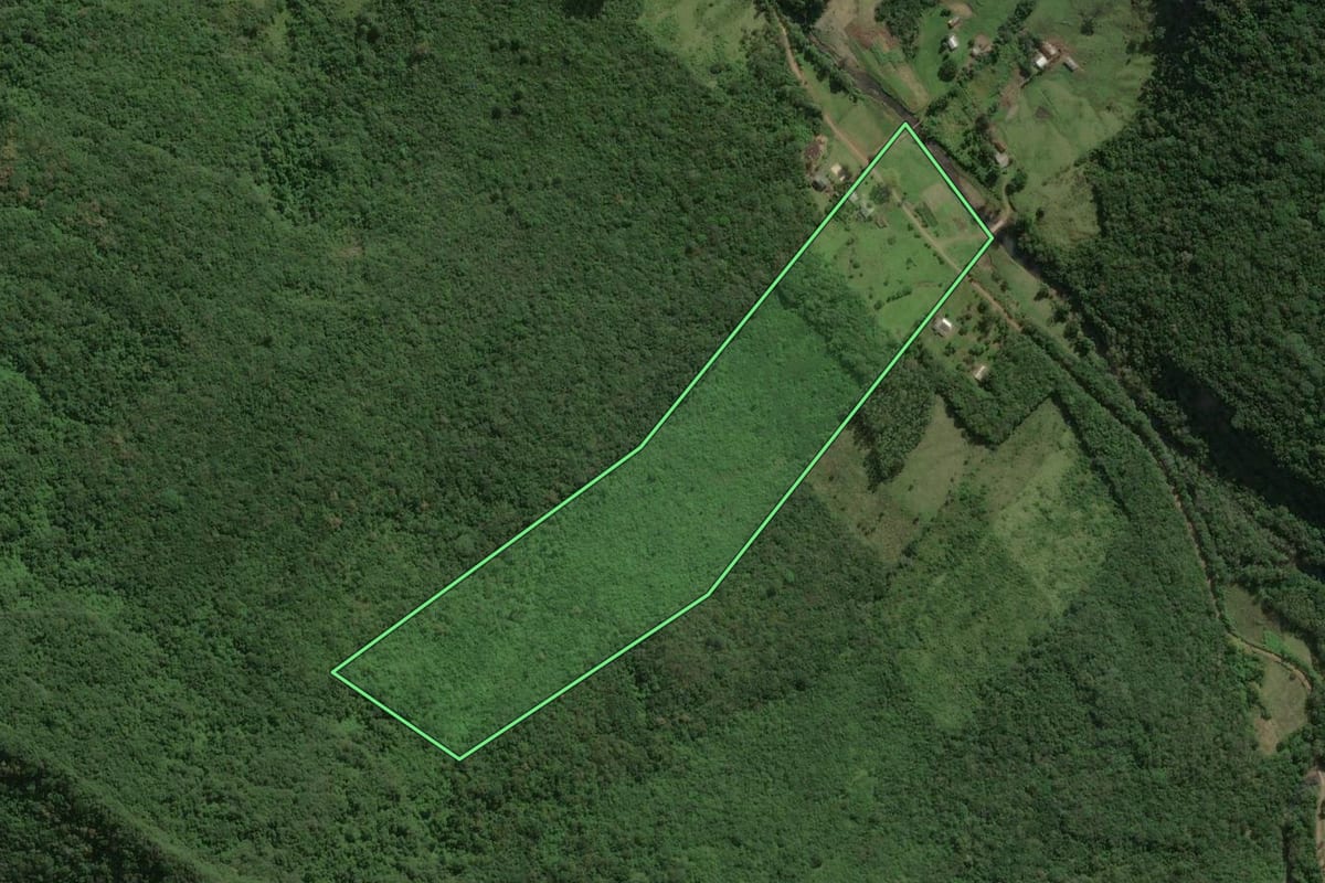 Imagem de satélite do imóvel rural em Maquiné (RS), com o contorno declarado no CAR desenhado por cima.
