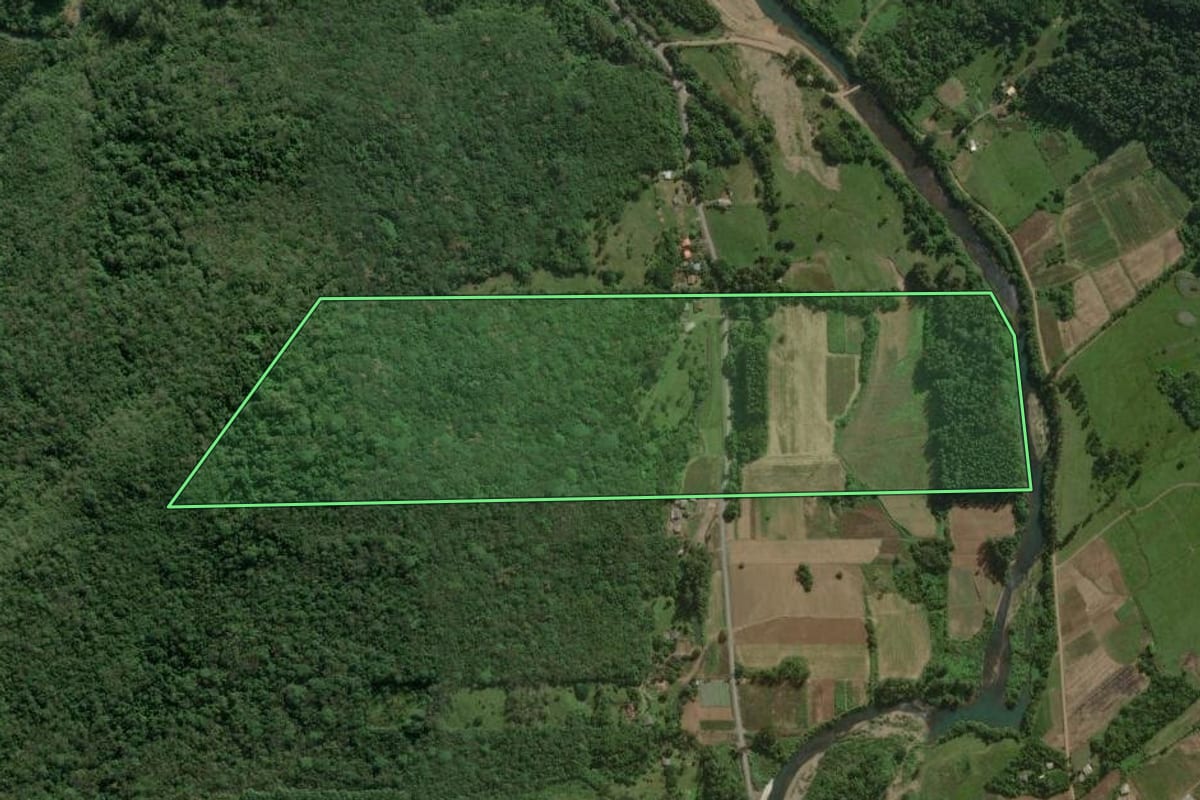Imagem de satélite do imóvel rural em Maquiné (RS), com o contorno declarado no CAR desenhado por cima.