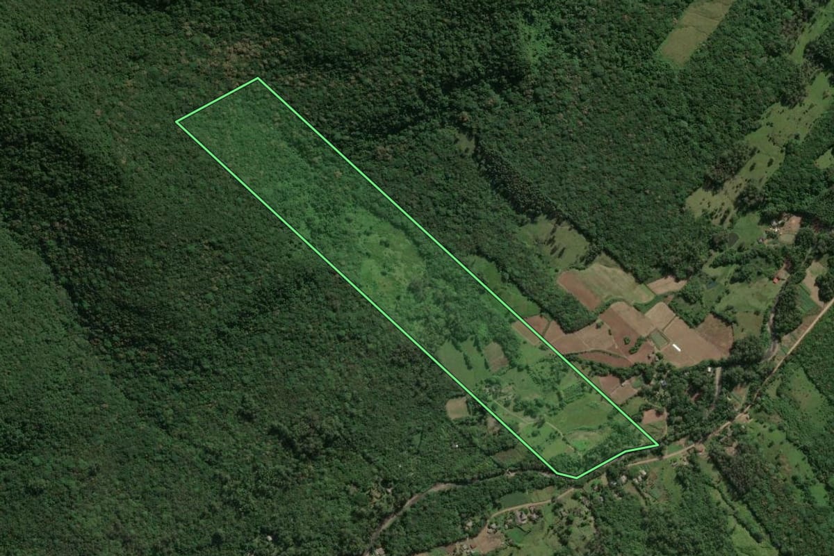 Imagem de satélite do imóvel rural em Maquiné (RS), com o contorno declarado no CAR desenhado por cima.