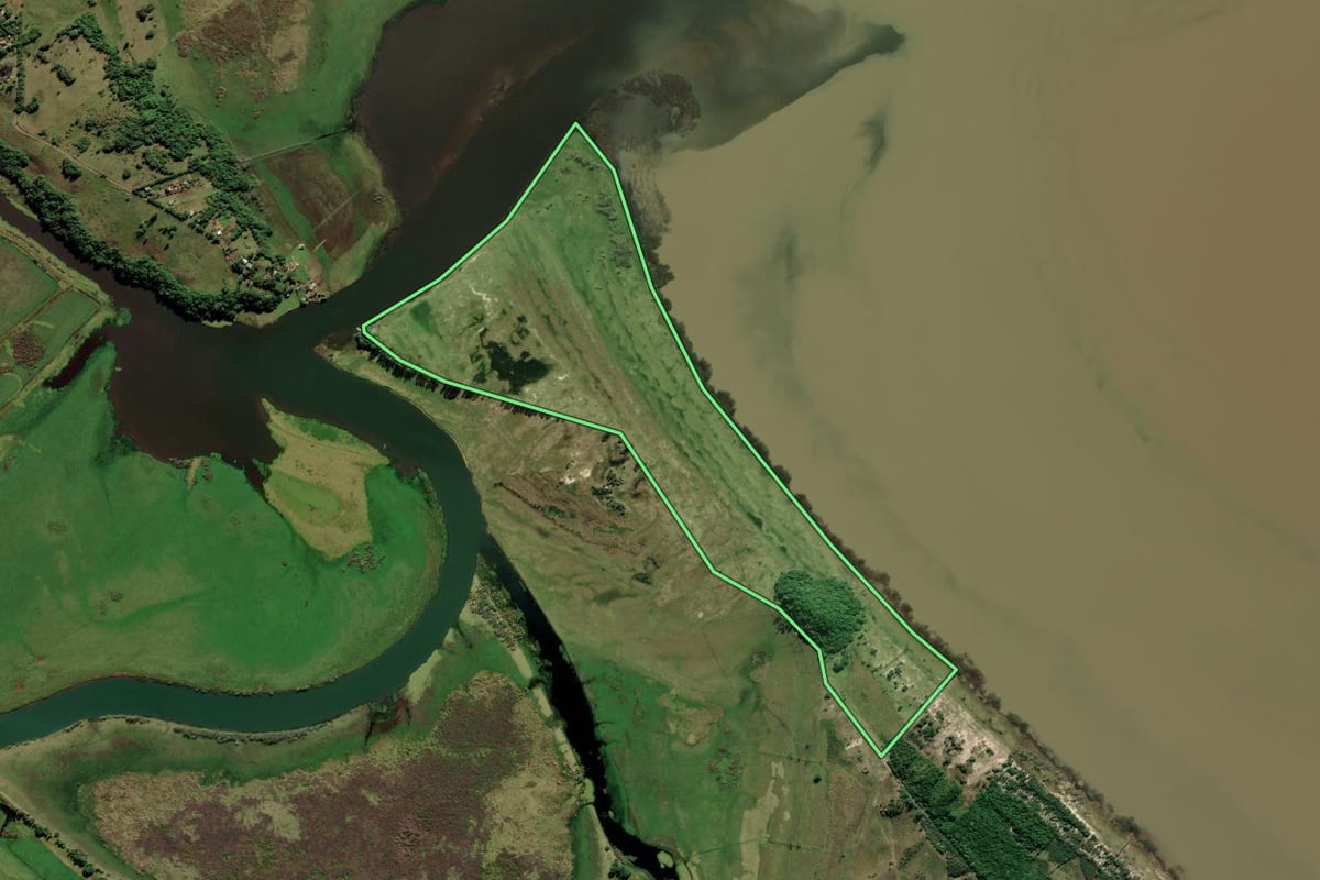Imagem de satélite do imóvel rural em Maquiné (RS), com o contorno declarado no CAR desenhado por cima.