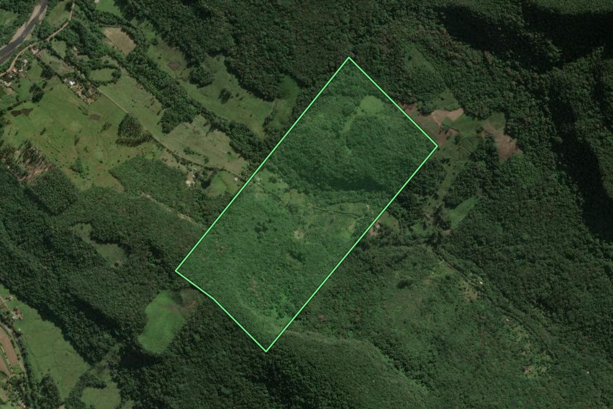 Imagem de satélite do imóvel rural em Maquiné (RS), com o contorno declarado no CAR desenhado por cima.