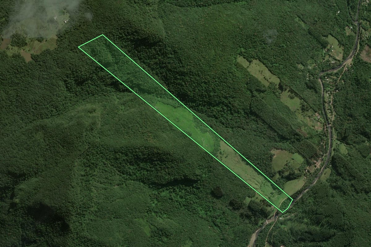 Imagem de satélite do imóvel rural em Maquiné (RS), com o contorno declarado no CAR desenhado por cima.