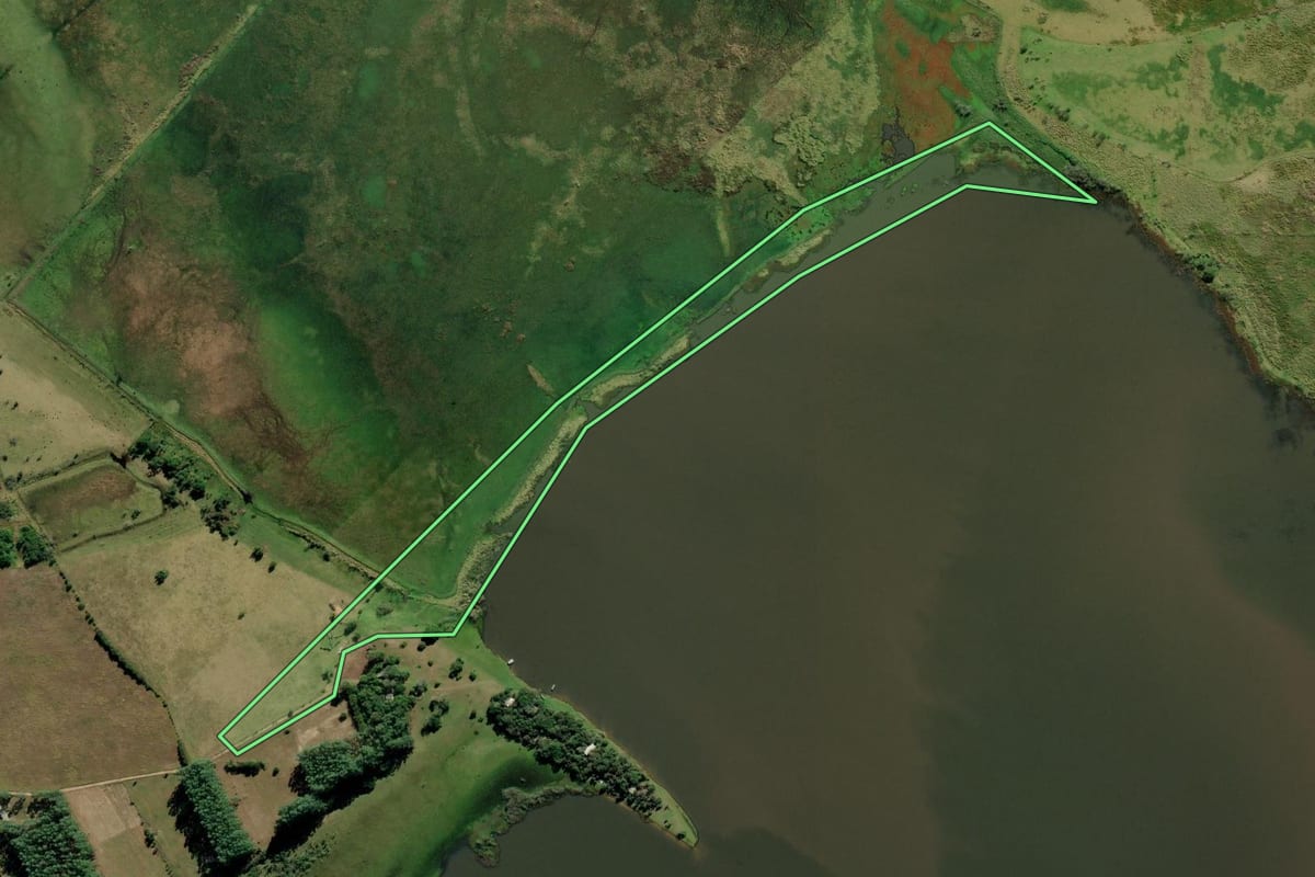 Imagem de satélite do imóvel rural em Maquiné (RS), com o contorno declarado no CAR desenhado por cima.