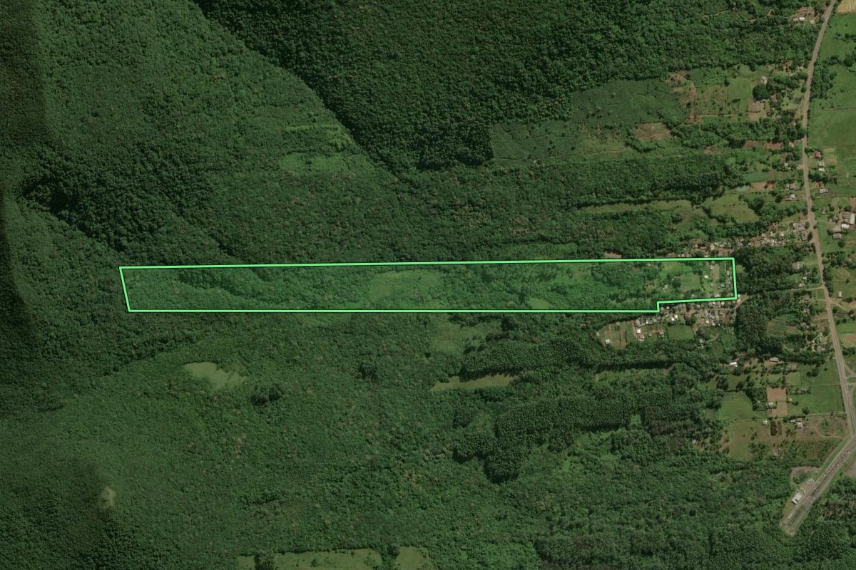 Imagem de satélite do imóvel rural em Maquiné (RS), com o contorno declarado no CAR desenhado por cima.