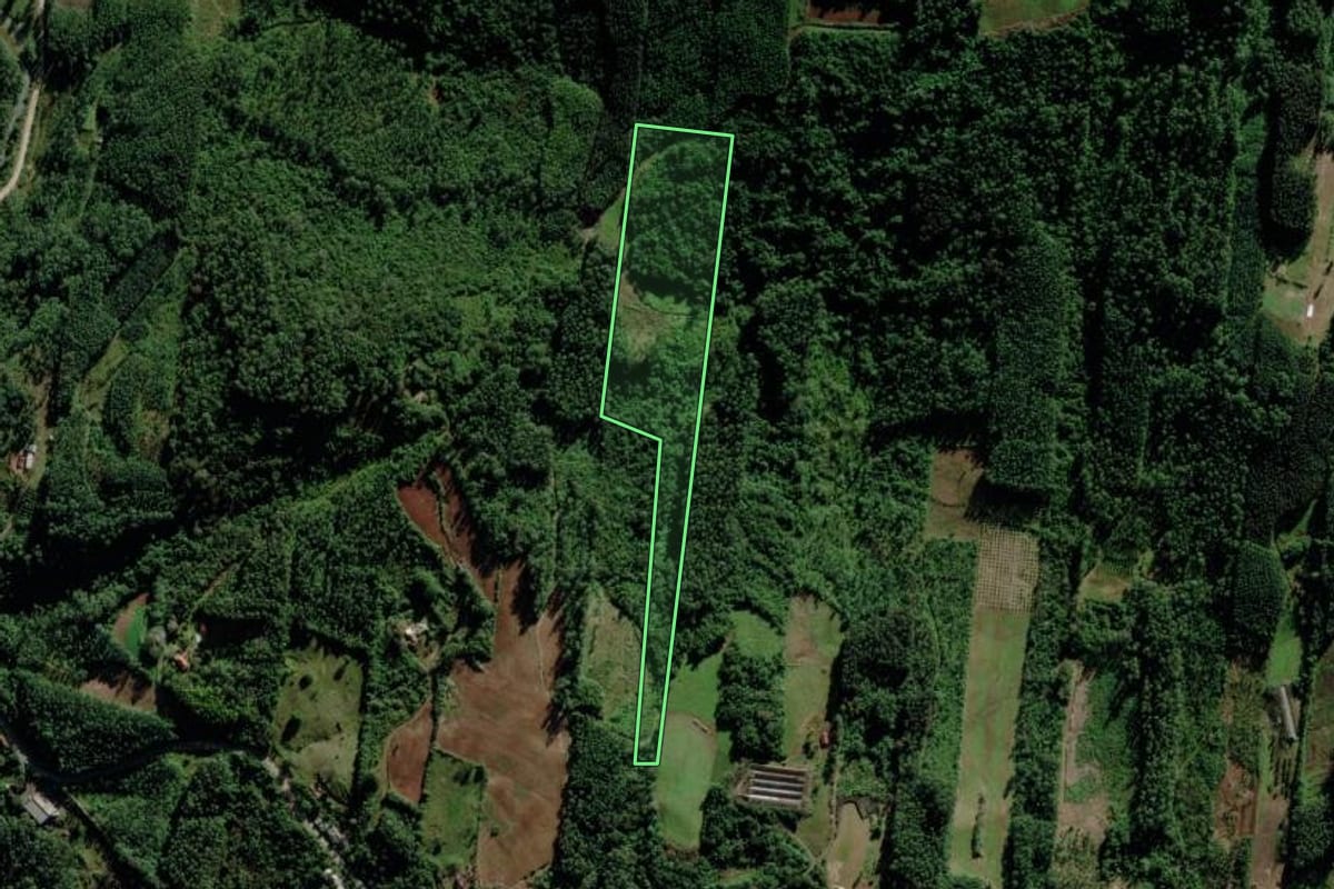 Imagem de satélite do imóvel rural em Maratá (RS), com o contorno declarado no CAR desenhado por cima.