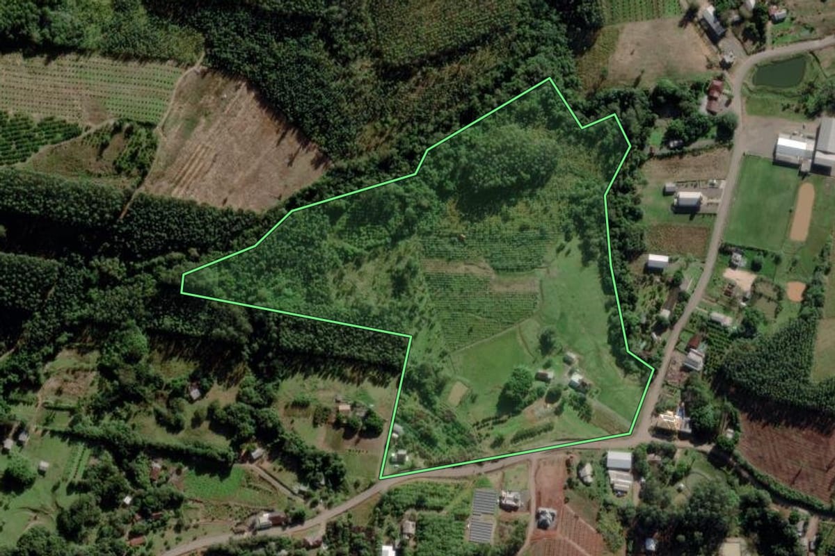 Imagem de satélite do imóvel rural em Maratá (RS), com o contorno declarado no CAR desenhado por cima.