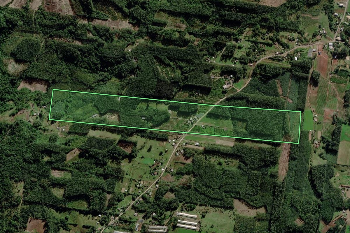 Imagem de satélite do imóvel rural em Maratá (RS), com o contorno declarado no CAR desenhado por cima.