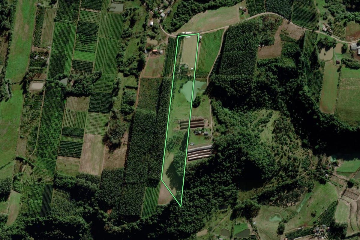 Imagem de satélite do imóvel rural em Maratá (RS), com o contorno declarado no CAR desenhado por cima.