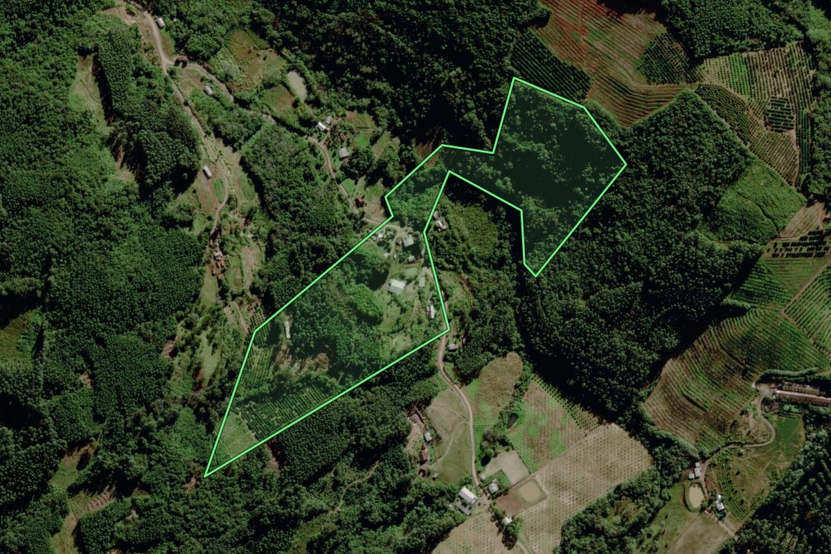 Imagem de satélite do imóvel rural em Maratá (RS), com o contorno declarado no CAR desenhado por cima.