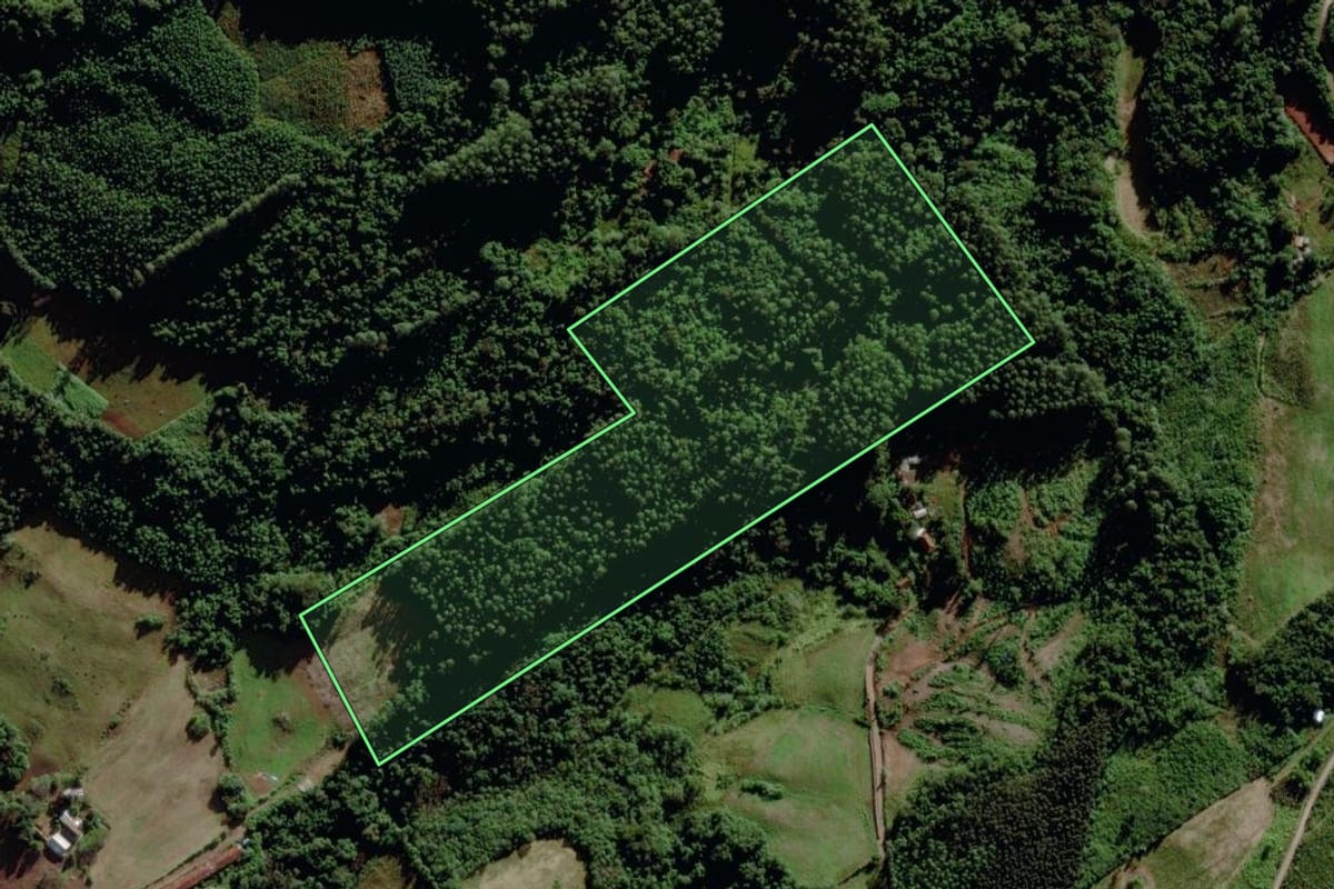 Imagem de satélite do imóvel rural em Maratá (RS), com o contorno declarado no CAR desenhado por cima.