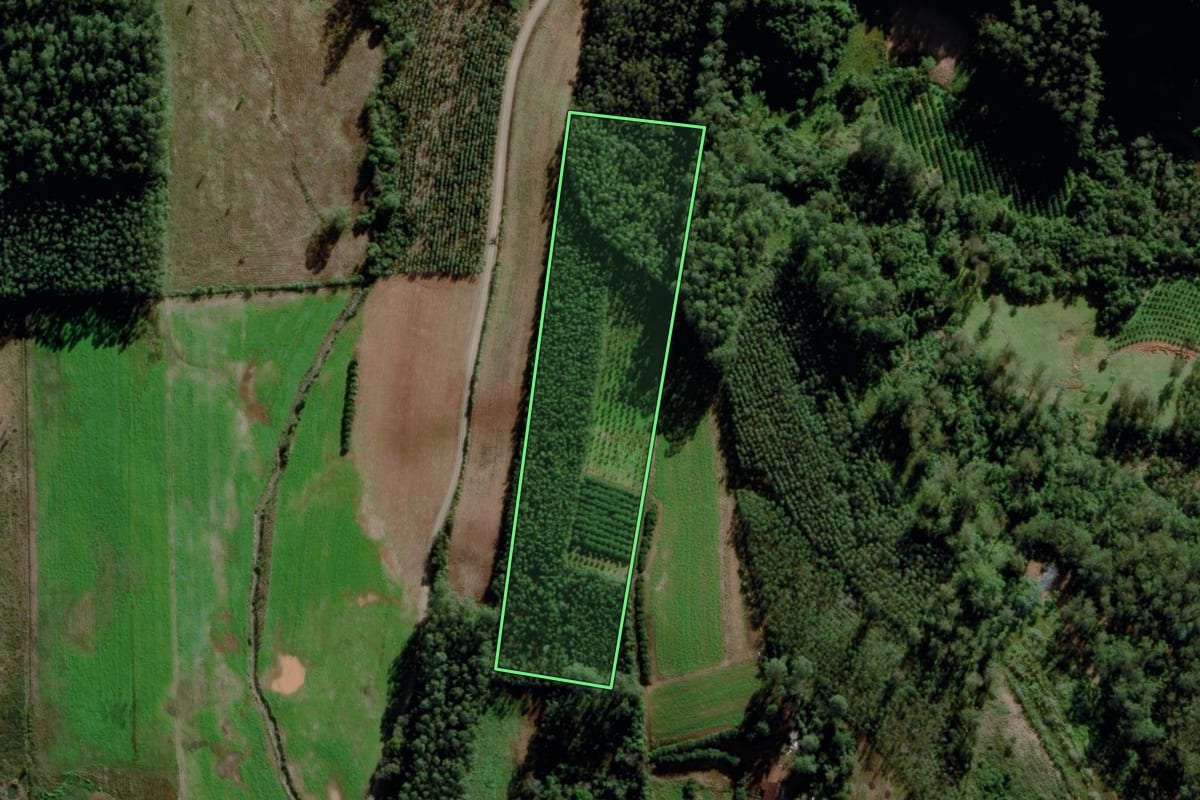 Imagem de satélite do imóvel rural em Maratá (RS), com o contorno declarado no CAR desenhado por cima.