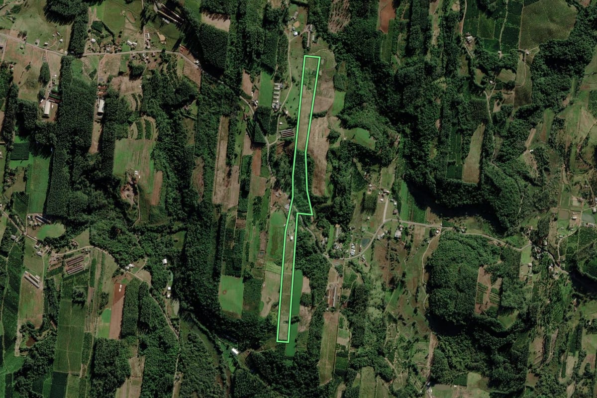Imagem de satélite do imóvel rural em Maratá (RS), com o contorno declarado no CAR desenhado por cima.
