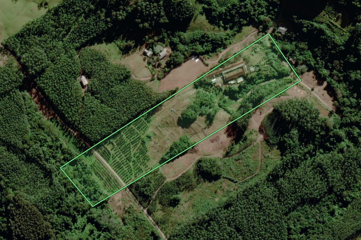 Imagem de satélite do imóvel rural em Maratá (RS), com o contorno declarado no CAR desenhado por cima.