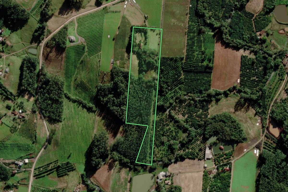 Imagem de satélite do imóvel rural em Maratá (RS), com o contorno declarado no CAR desenhado por cima.