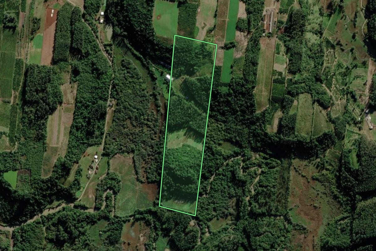 Imagem de satélite do imóvel rural em Maratá (RS), com o contorno declarado no CAR desenhado por cima.