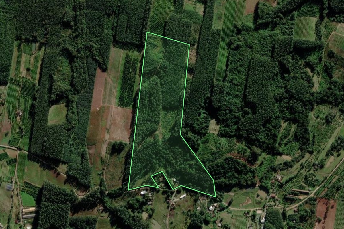 Imagem de satélite do imóvel rural em Maratá (RS), com o contorno declarado no CAR desenhado por cima.