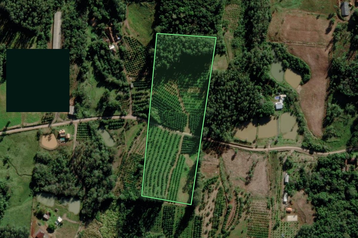 Imagem de satélite do imóvel rural em Maratá (RS), com o contorno declarado no CAR desenhado por cima.