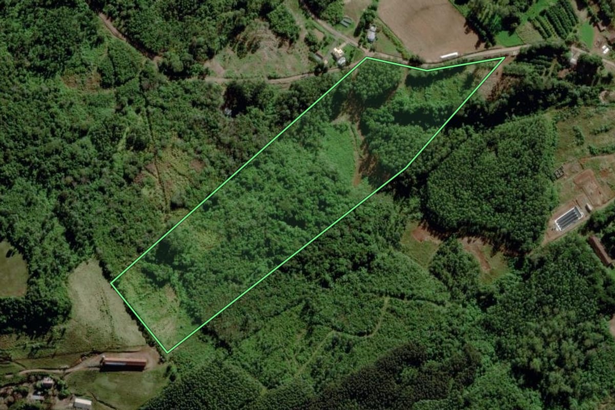 Imagem de satélite do imóvel rural em Maratá (RS), com o contorno declarado no CAR desenhado por cima.