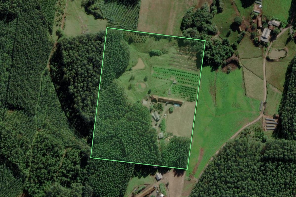 Imagem de satélite do imóvel rural em Maratá (RS), com o contorno declarado no CAR desenhado por cima.
